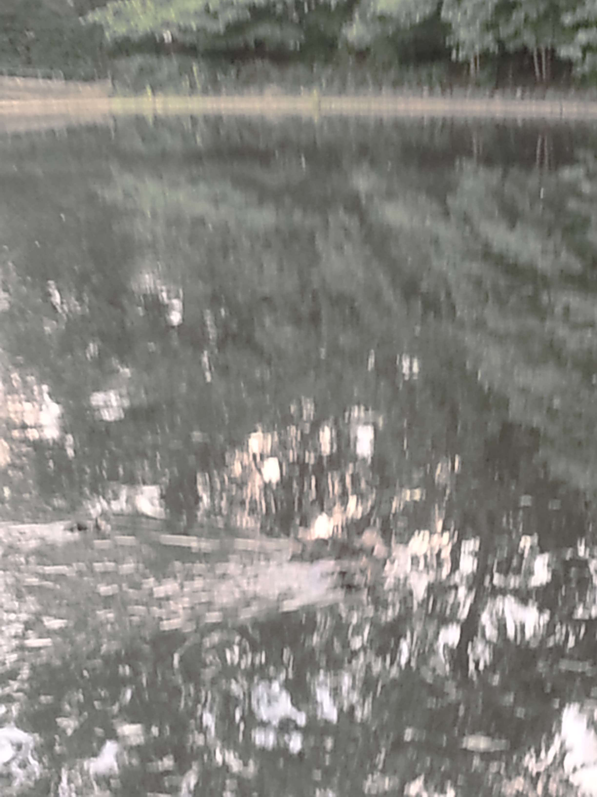 Iron Door installation in Atlanta, GA - photo 1