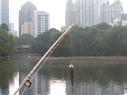 Iron Door installation in Atlanta, GA - thumbnail 2